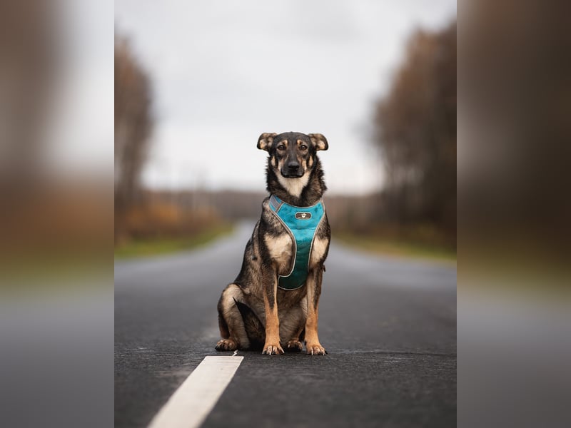 Liebevolle Olivka sucht ihren platz