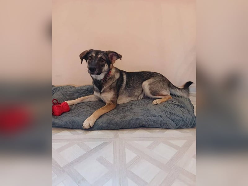 Verzaubert Lori dich mit ihren augen ?!