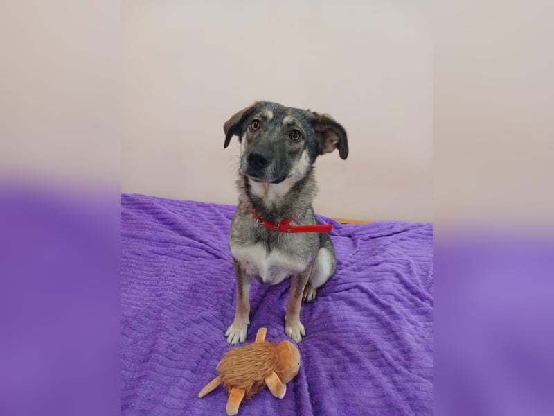 Verzaubert Lori dich mit ihren augen ?!