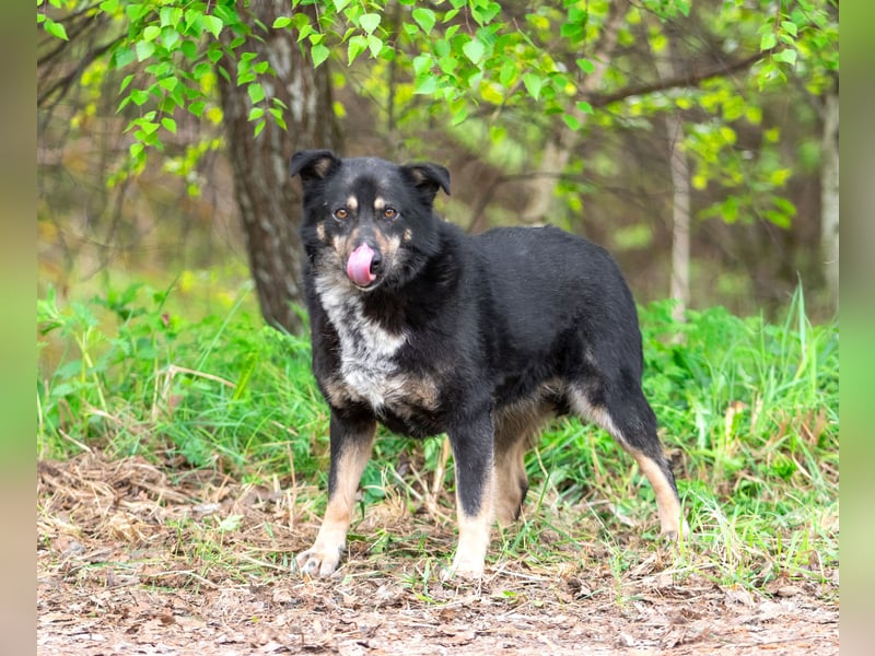Sensible Mukha sucht verständnisvolle Menschen