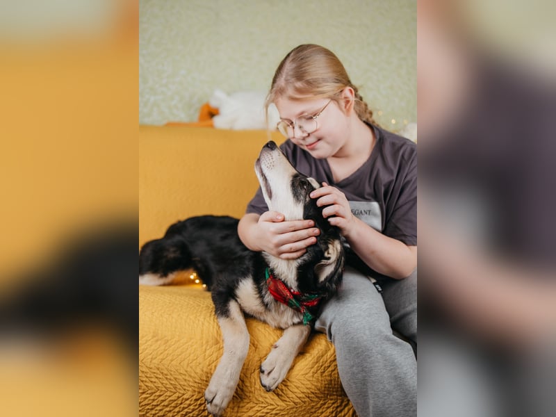 Süße Mia wartet auf ihre Menschen