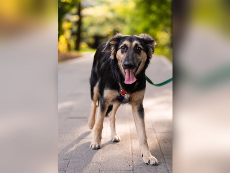 Der mutige Philip sucht seine Menschen