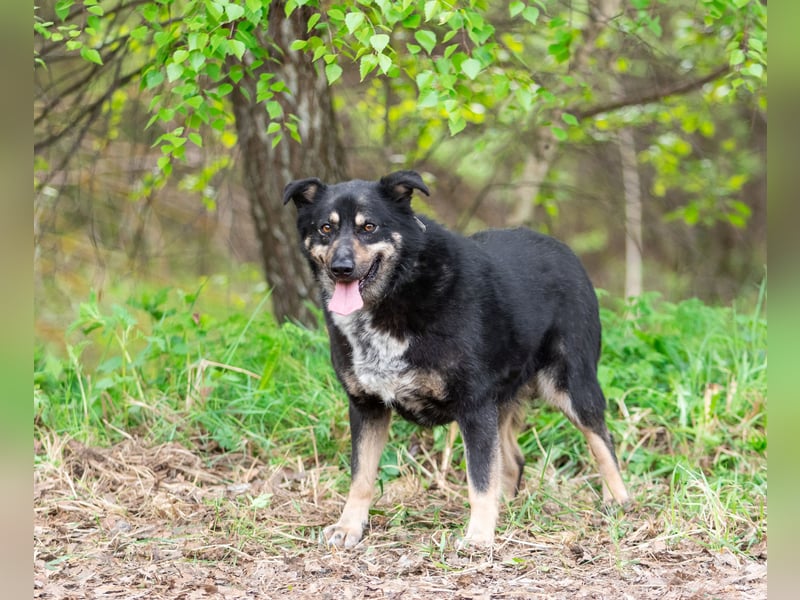 Sensible Mukha sucht verständnisvolle Menschen