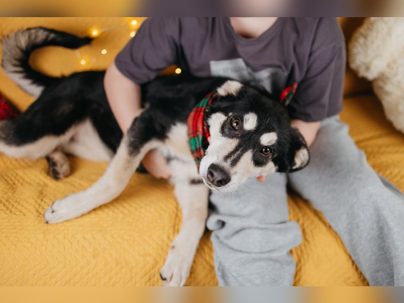 Süße Mia wartet auf ihre Menschen