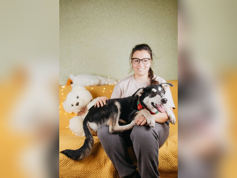 Süße Mia wartet auf ihre Menschen