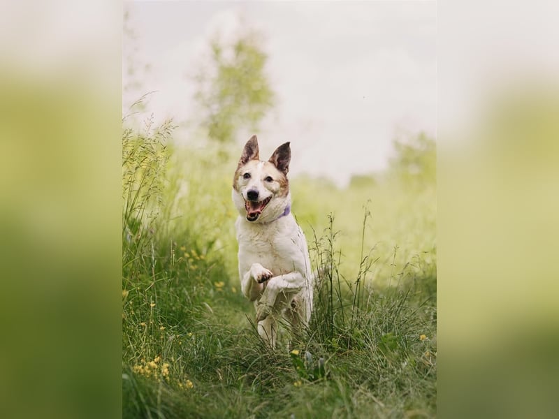 Gibst du Jess nochmal eine Chance?!