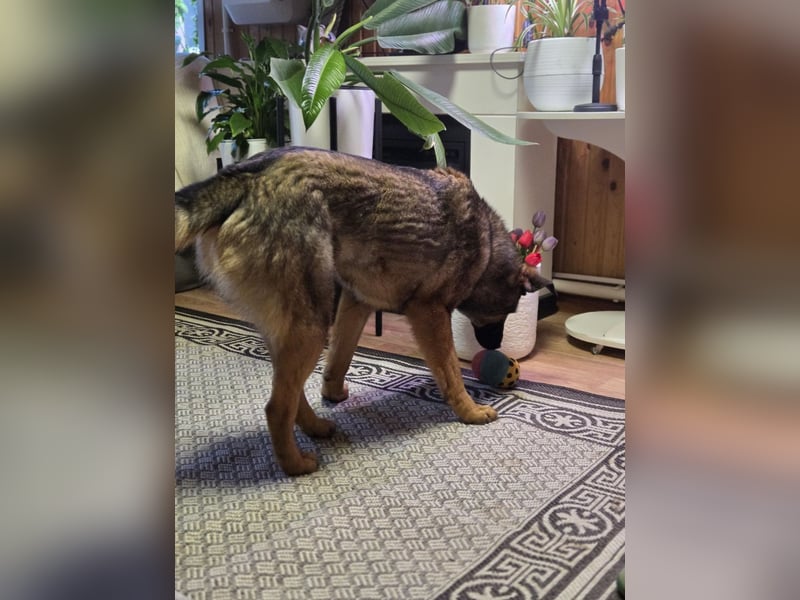 Ein Herz für Vasilisa geben Sie ihr eine Chance auf ein glückliches Leben!