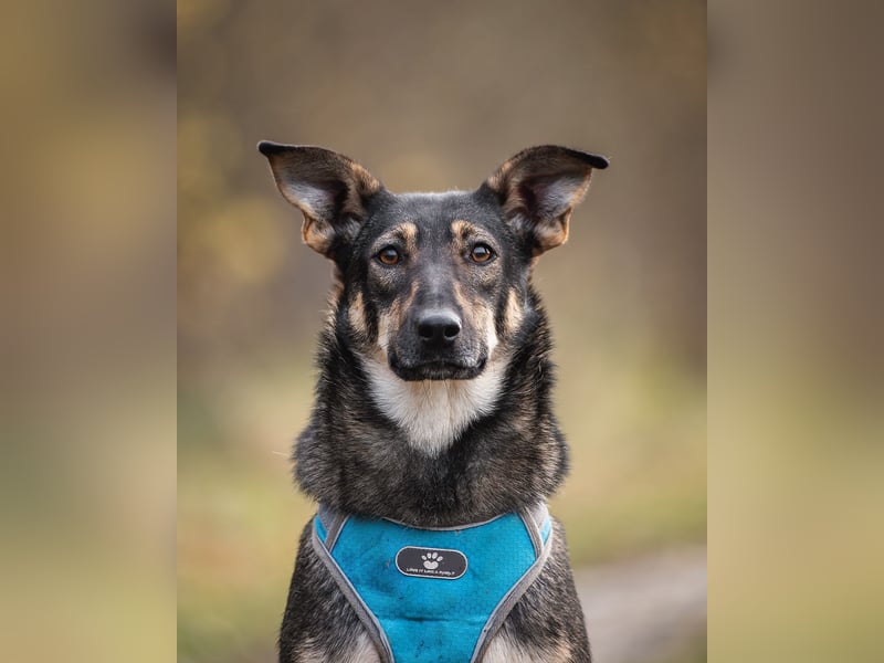 Liebevolle Olivka sucht ihren platz