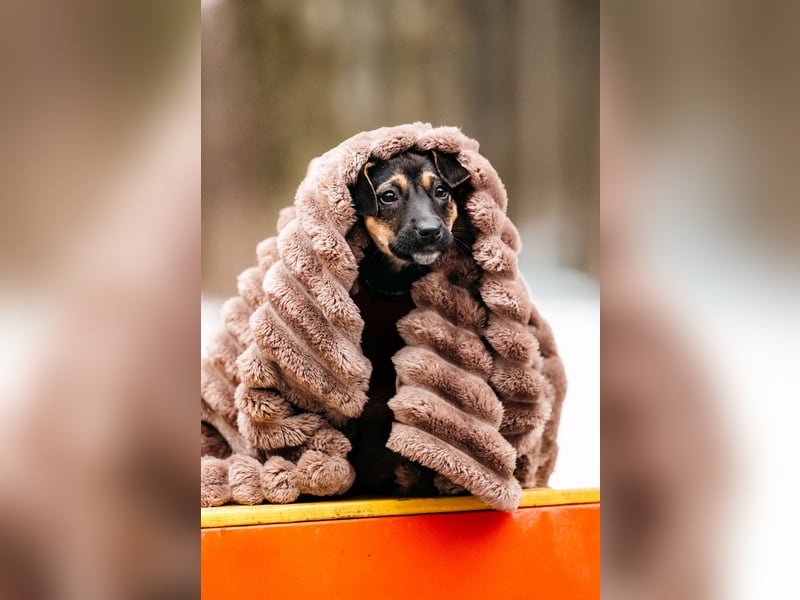 Afina , zuckersüße maus wartet ...
