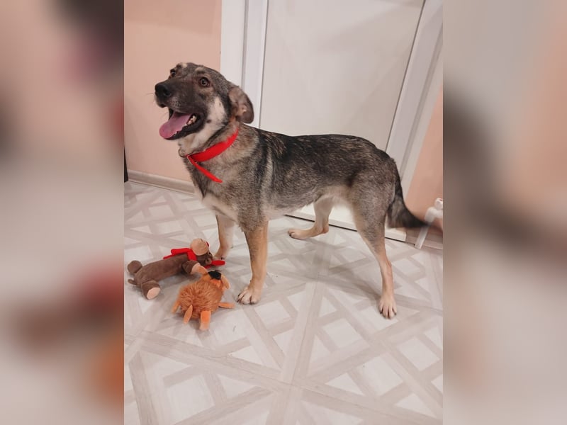 Verzaubert Lori dich mit ihren augen ?!