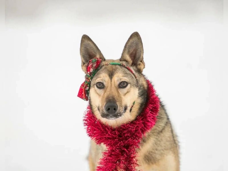 Aktive Bulochka sucht aktive Menschen