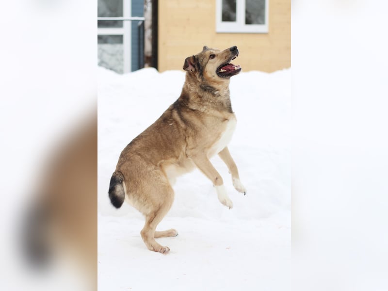 Lyon möchte endlich Liebe und wärme spüren