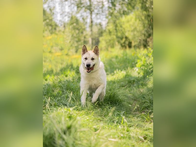 Grey ist aktiv im Leben