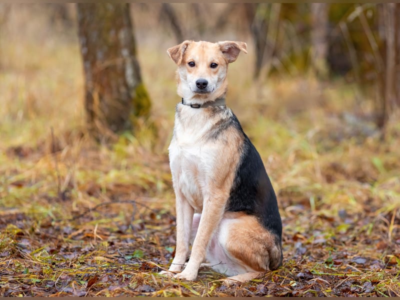 Asya ist schüchtern aber mit viel liebe...