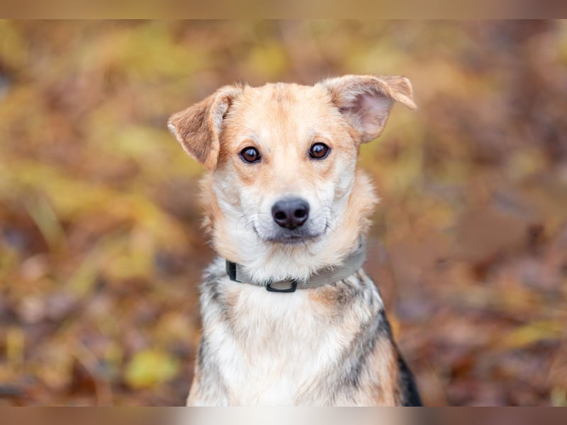 Asya ist schüchtern aber mit viel liebe...