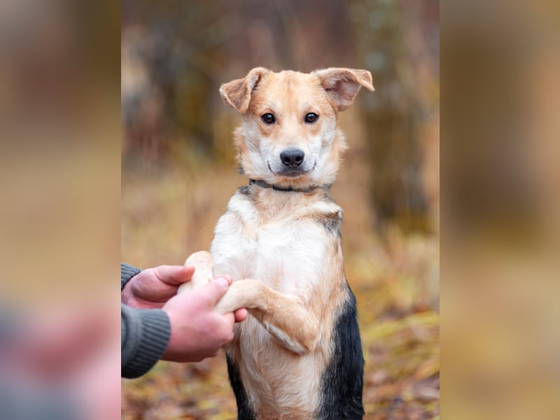 Asya ist schüchtern aber mit viel liebe...