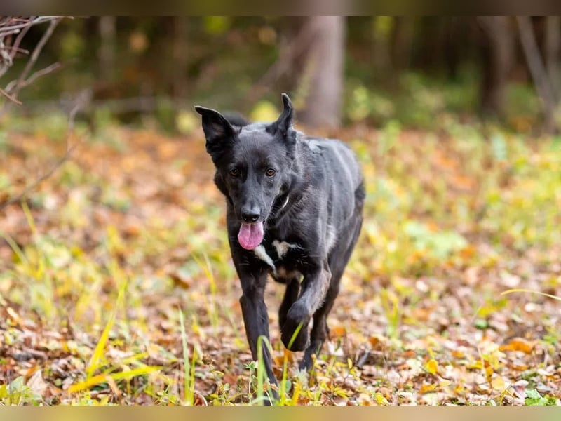 Wunderschöne Jasmine mochte geliebt werden