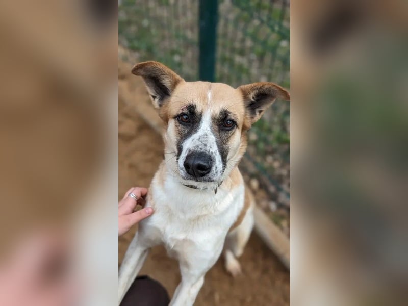 Marta hat noch so viel Lebensfreude