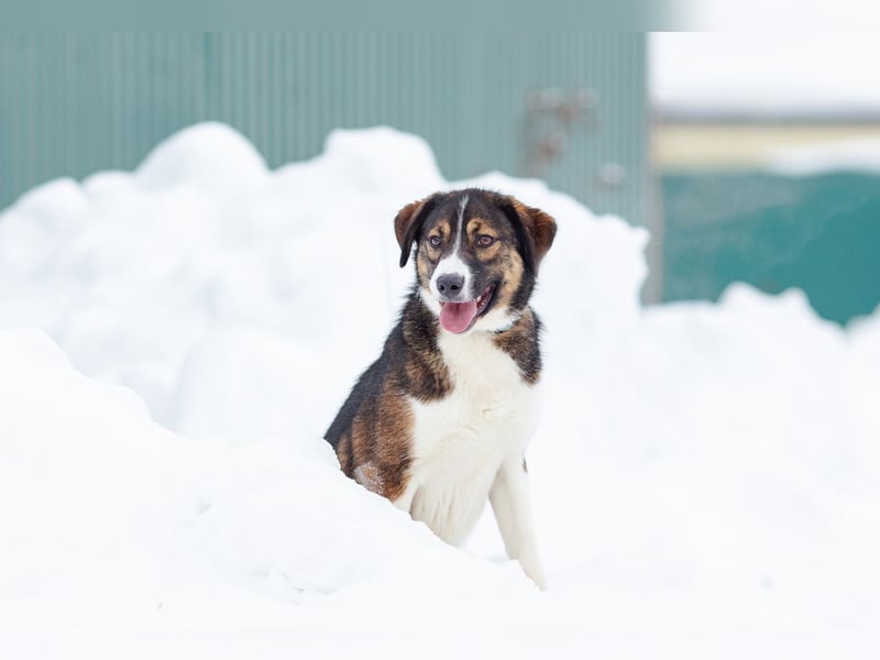 Havier sucht ein aktives Leben...