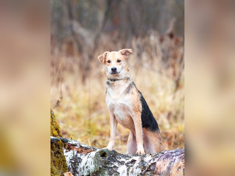 Asya ist schüchtern aber mit viel liebe...