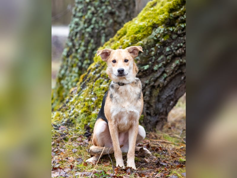 Asya ist schüchtern aber mit viel liebe...