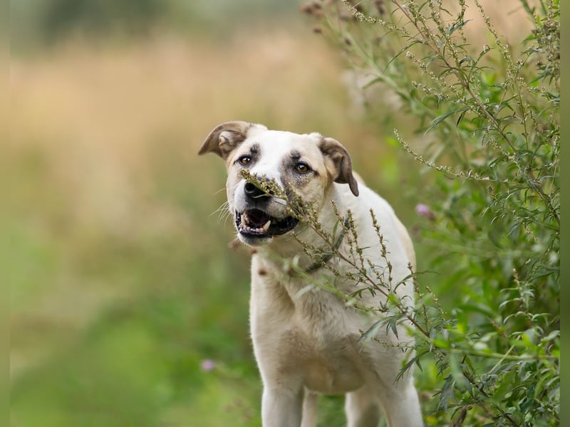 Kannst du Nemo lieben trotz handicap?!