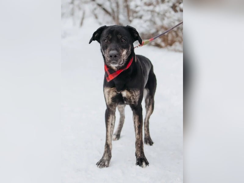 Odin sucht End platz!