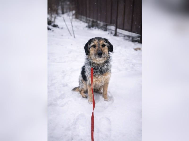 Belle hat großes Herz zu Verschenken