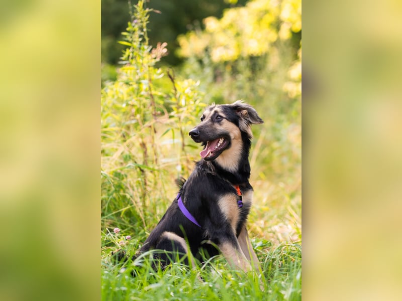 Der mutige Philip sucht seine Menschen