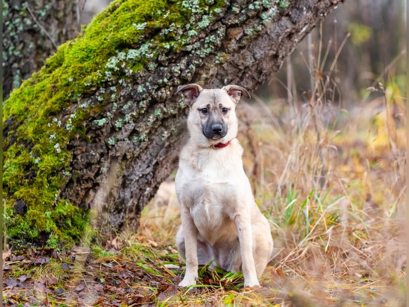 Iriska sucht liebe Menschen