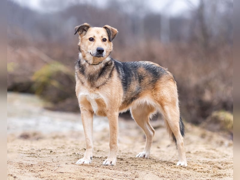 Mit wem kann Nora durch dick und dünn gehen?!