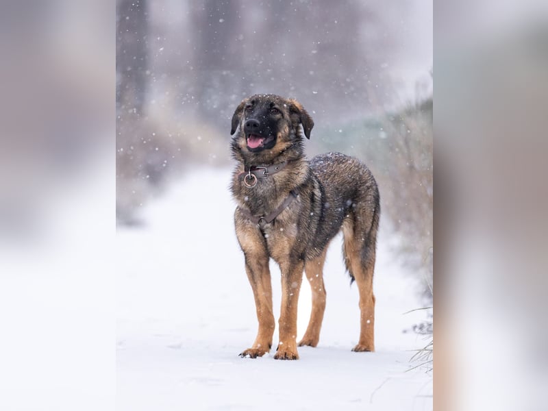 Ein Herz für Vasilisa geben Sie ihr eine Chance auf ein glückliches Leben!