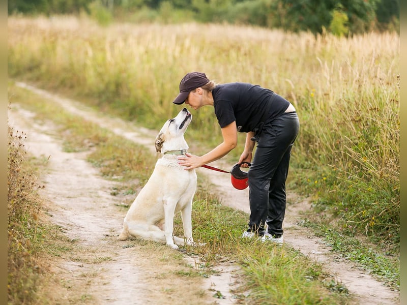 Kannst du Nemo lieben trotz handicap?!