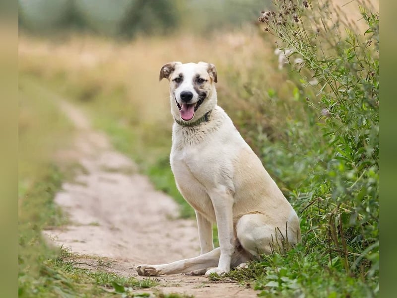 Kannst du Nemo lieben trotz handicap?!