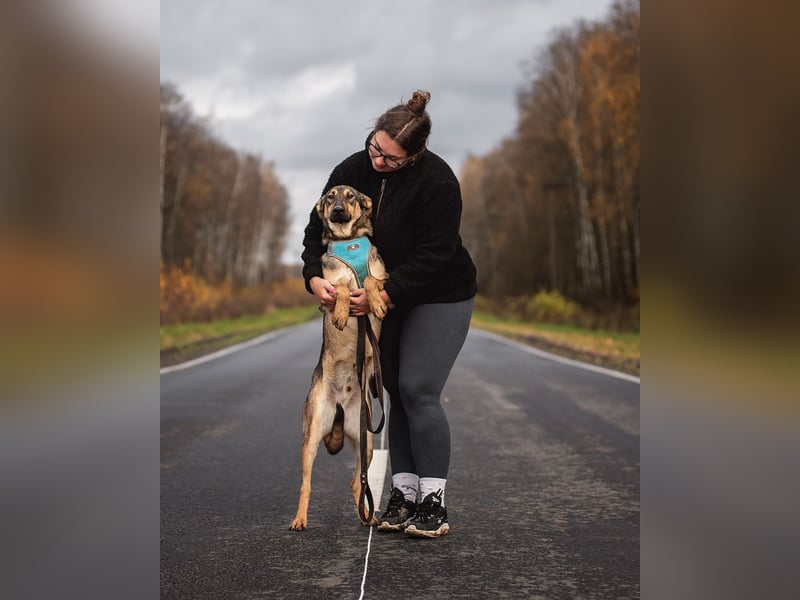 Mutiger Krosh sucht aktive Familie