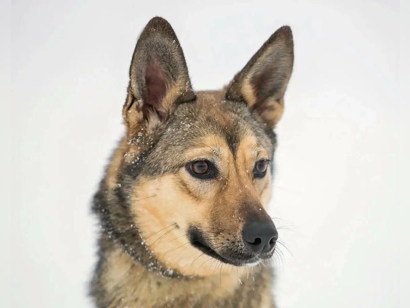 Aktive Bulochka sucht aktive Menschen