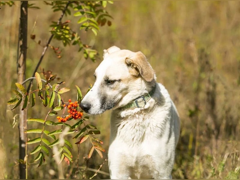 Kannst du Nemo lieben trotz handicap?!