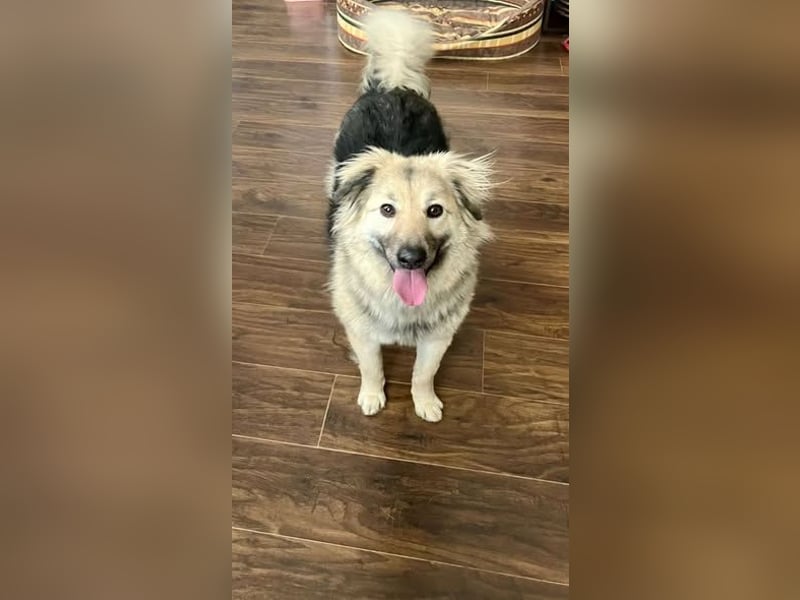 Aktiv und fröhlich durchs Leben mit Lora