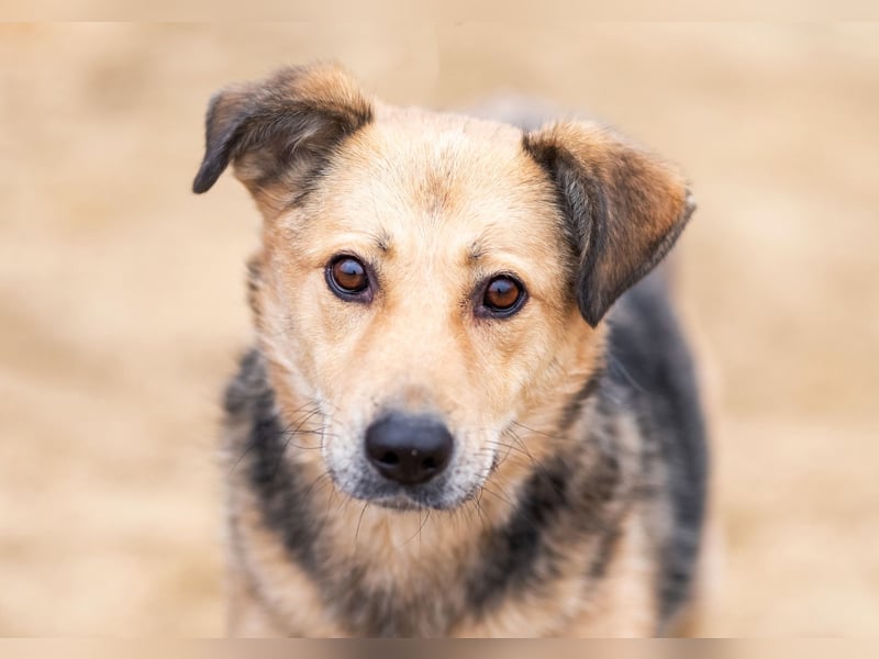 Mit wem kann Nora durch dick und dünn gehen?!