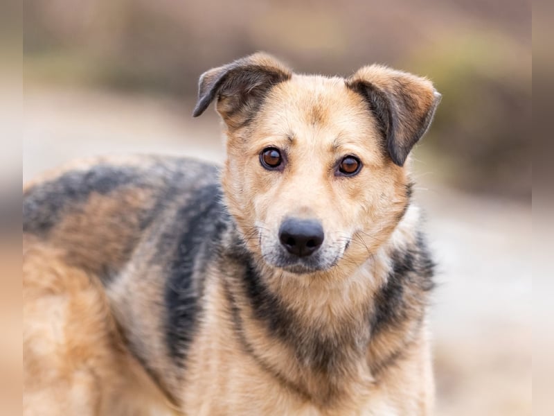 Mit wem kann Nora durch dick und dünn gehen?!