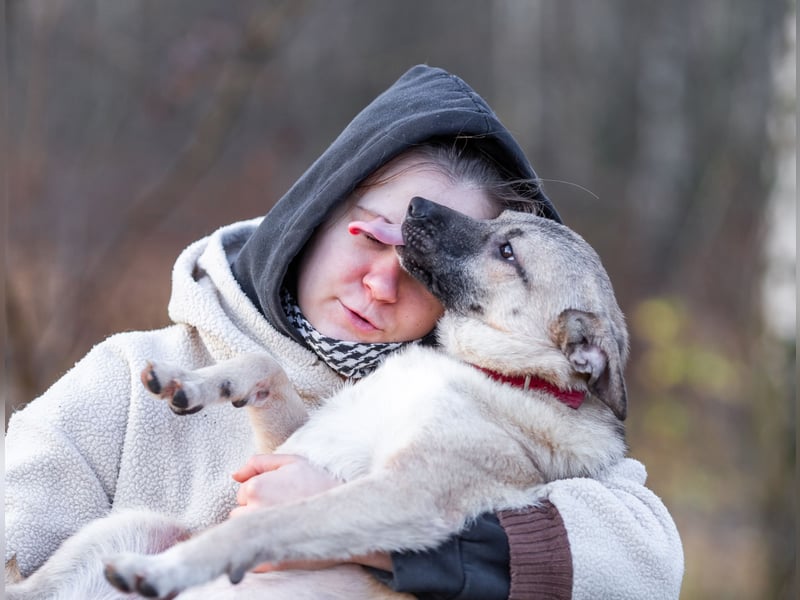 Iriska sucht liebe Menschen