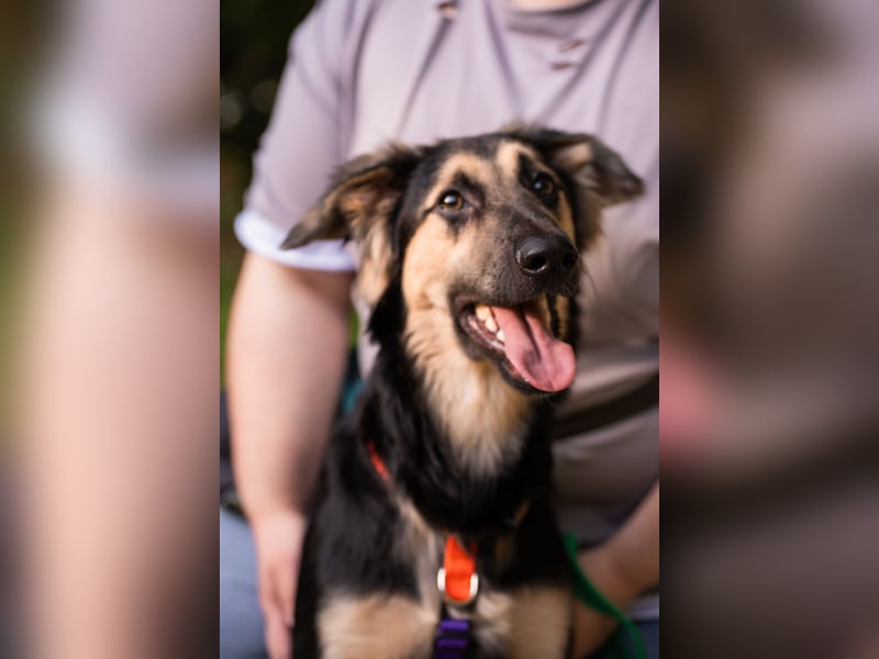 Der mutige Philip sucht seine Menschen