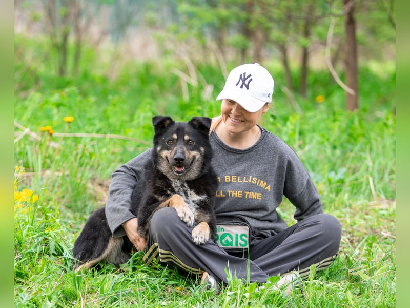 Sensible Mukha sucht verständnisvolle Menschen