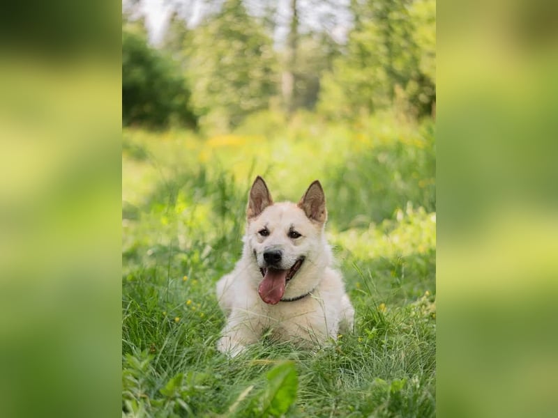 Grey ist aktiv im Leben