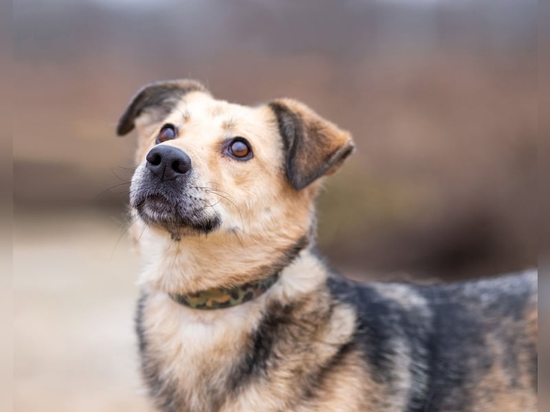 Mit wem kann Nora durch dick und dünn gehen?!