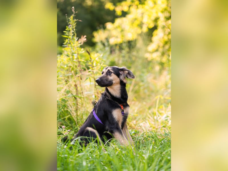 Der mutige Philip sucht seine Menschen