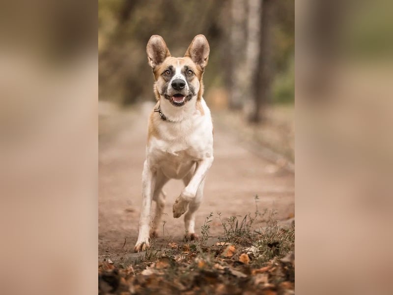 Marta hat noch so viel Lebensfreude