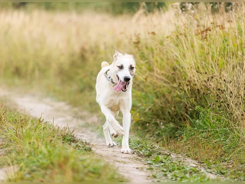 Kannst du Nemo lieben trotz handicap?!