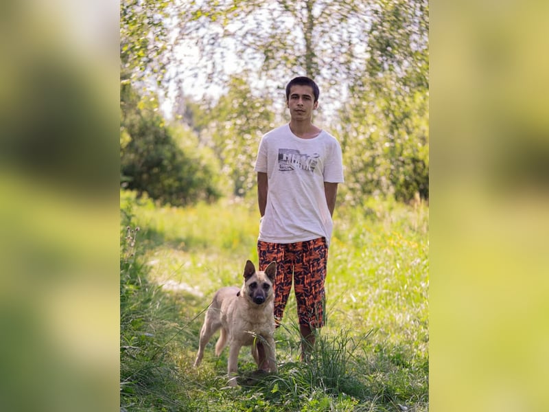 Sanfte Sofia sucht treue Familie