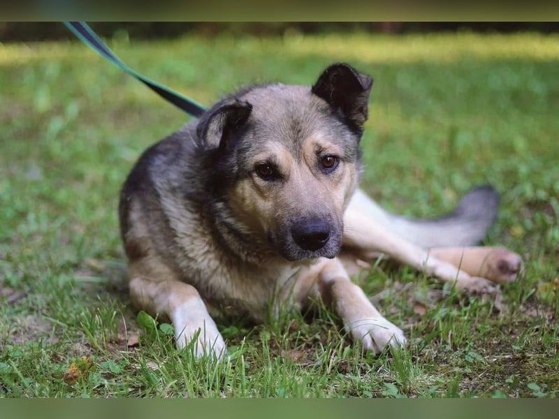 Lyon möchte endlich Liebe und wärme spüren